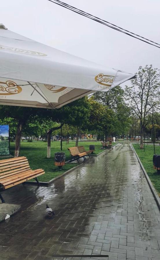 Afganskii Park Apartment تشيسيناو المظهر الخارجي الصورة